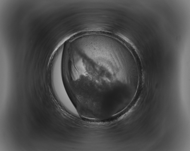 X0000084520925200703021352