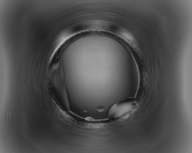 X0000084520926200703021352