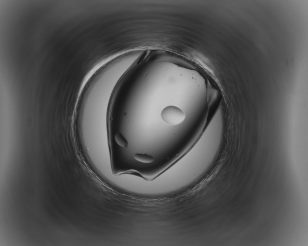 X0000084520928200703021352