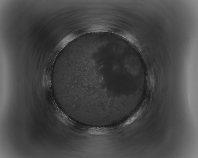 X0000084520929200703021352