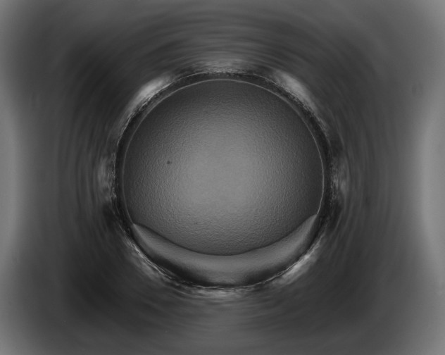 X0000084520930200703021352