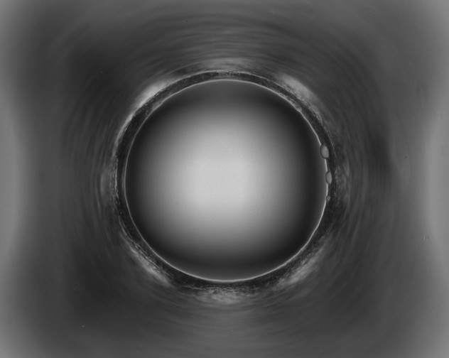 X0000084520931200703021352