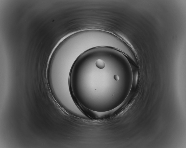 X0000084520932200703021352