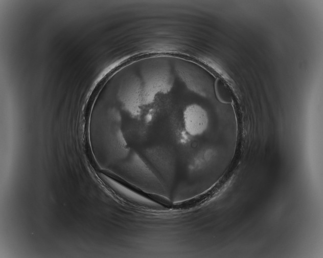 X0000084520933200703021352