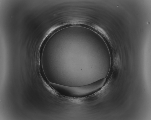 X0000084520934200703021352