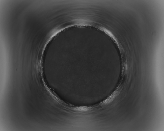 X0000084520935200703021352