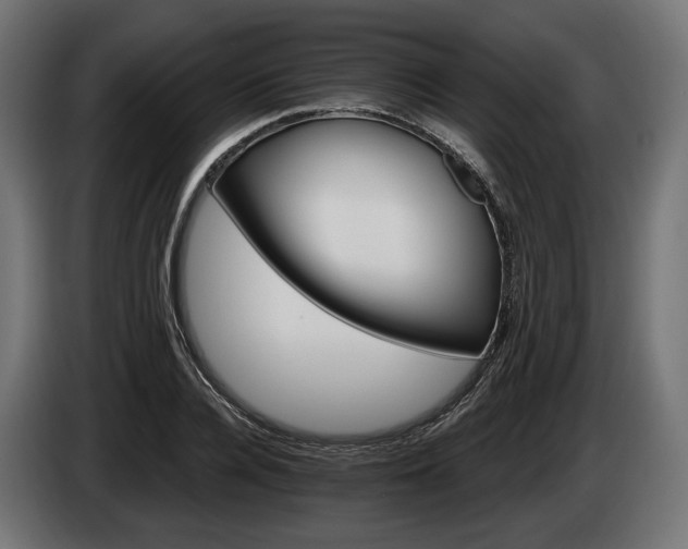 X0000084520936200703021352