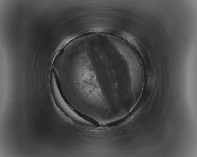 X0000084520938200703021352