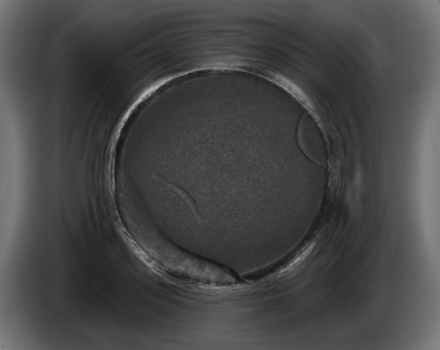 X0000084520939200703021352