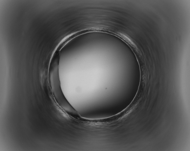 X0000084520940200703021352