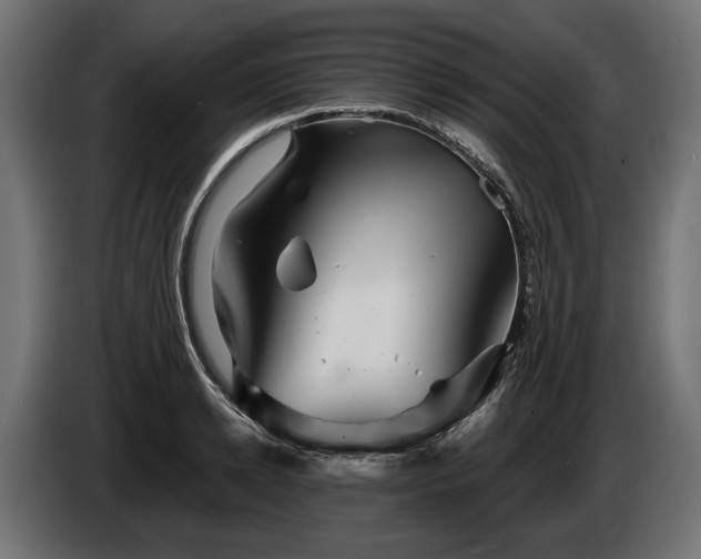 X0000084520942200703021352