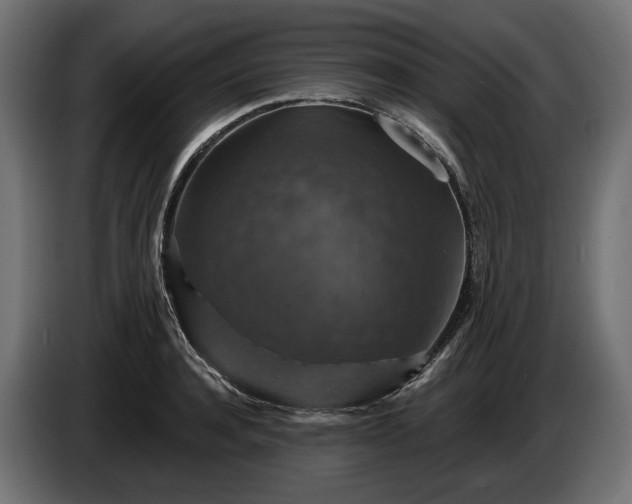 X0000084520944200703021352