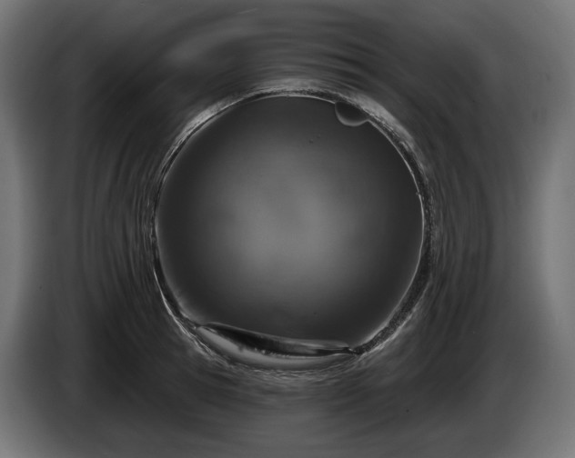 X0000084520945200703021352