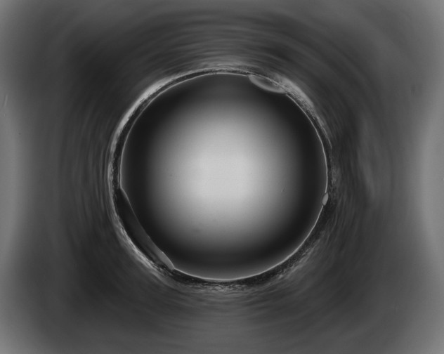 X0000084520947200703021352