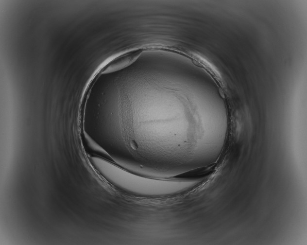 X0000084520948200703021352