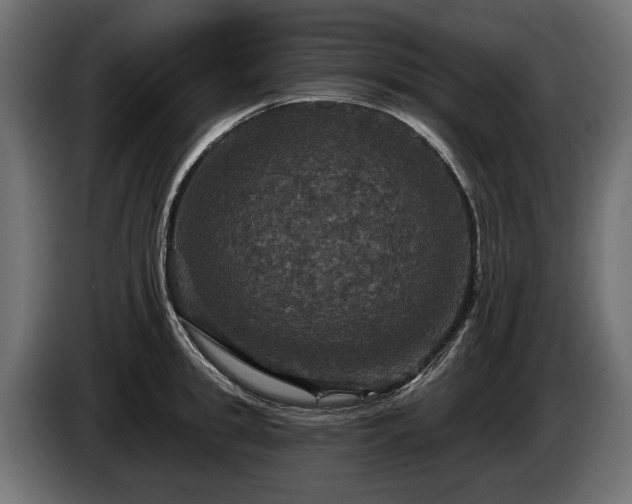 X0000084520949200703021352