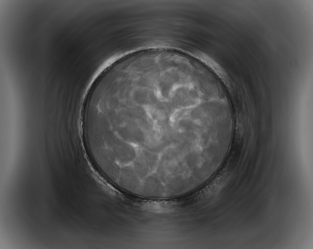 X0000084520950200703021352