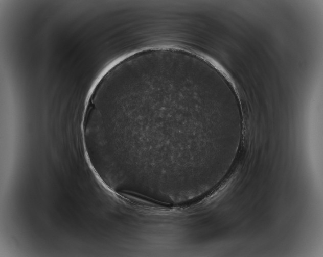 X0000084520951200703021352