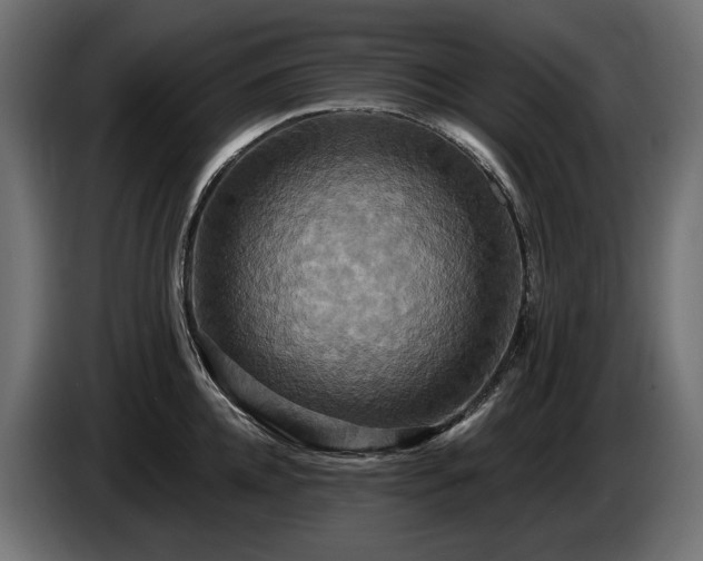 X0000084520952200703021352