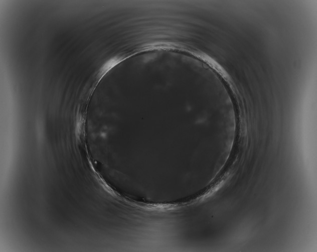 X0000084520953200703021352