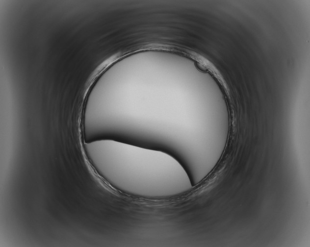 X0000084520954200703021353