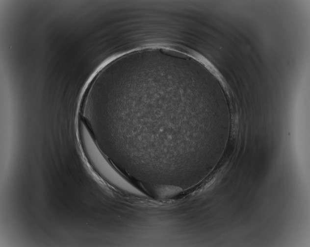 X0000084520955200703021353