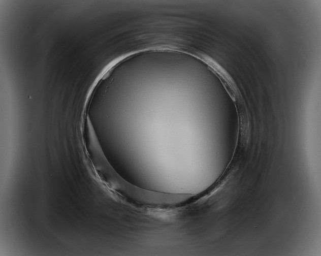 X0000084520956200703021353