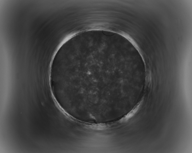 X0000084520957200703021353