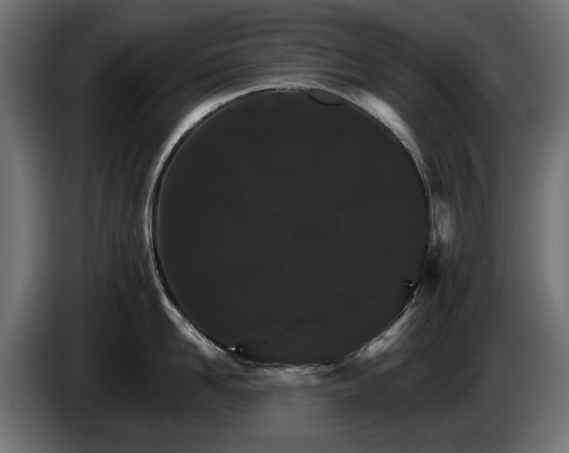 X0000084520958200703021353