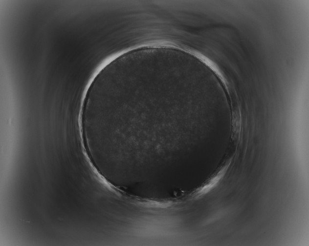 X0000084520959200703021353