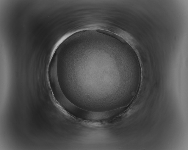 X0000084520960200703021353