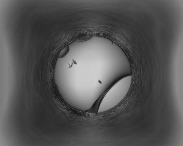 X0000084520961200703021352