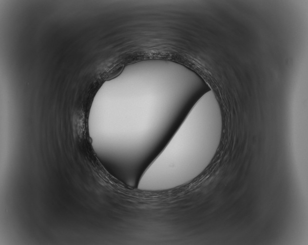 X0000084520963200703021352