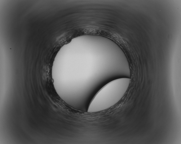 X0000084520964200703021352