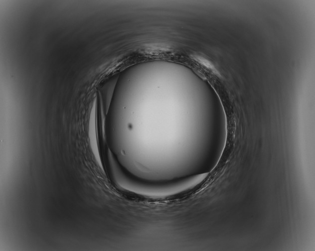 X0000084520965200703021352