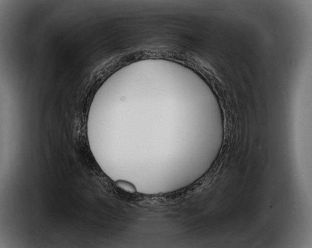 X0000084520966200703021352