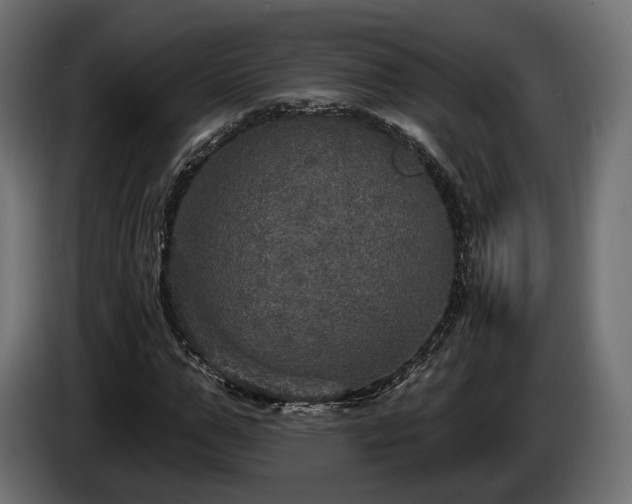 X0000084520967200703021352