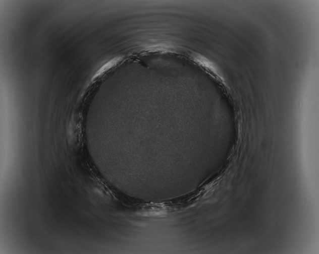 X0000084520968200703021352