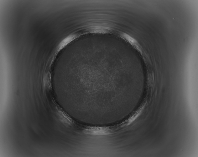 X0000084520970200703021352