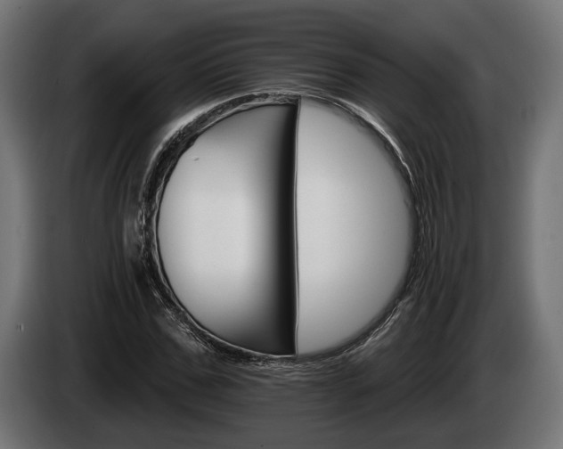 X0000084520971200703021352