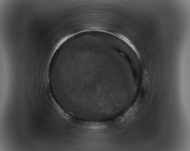 X0000084520972200703021352