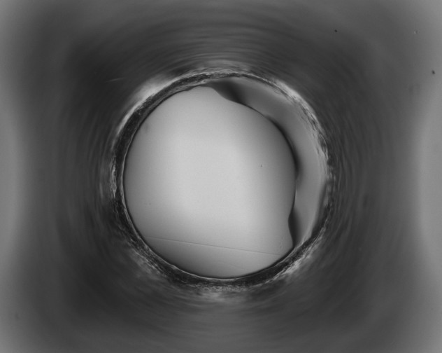 X0000084520973200703021352