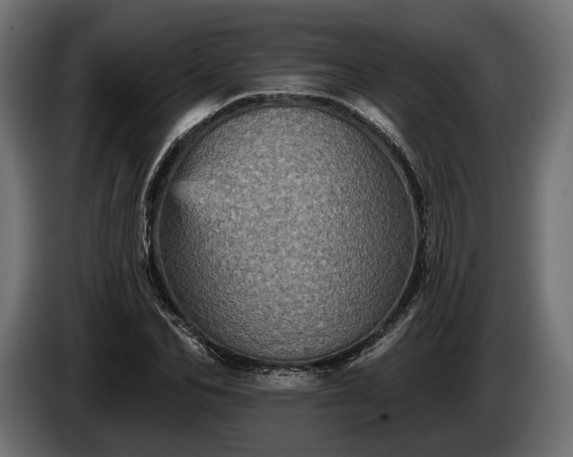 X0000084520974200703021352