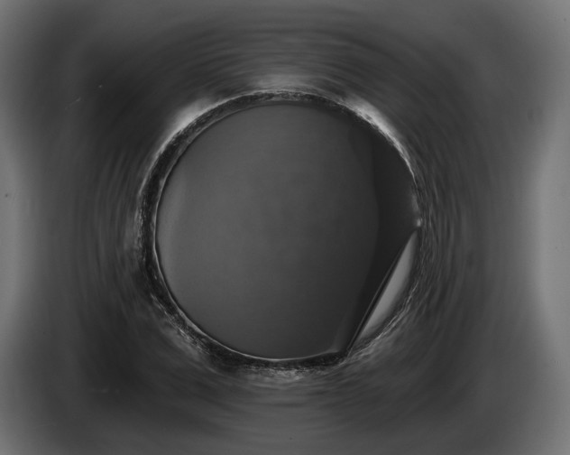 X0000084520975200703021352