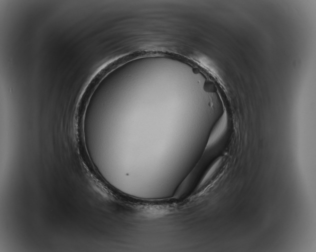 X0000084520976200703021352