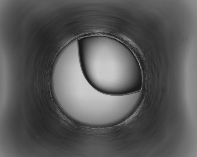 X0000084520977200703021352