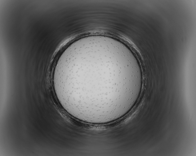 X0000084520978200703021352