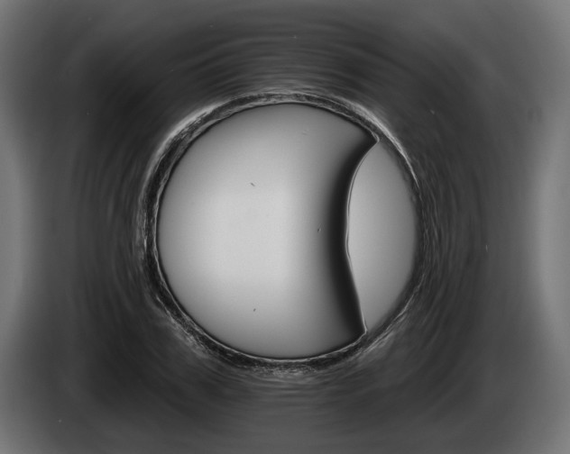 X0000084520979200703021352