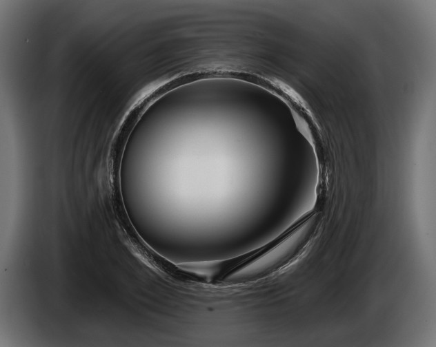 X0000084520981200703021352