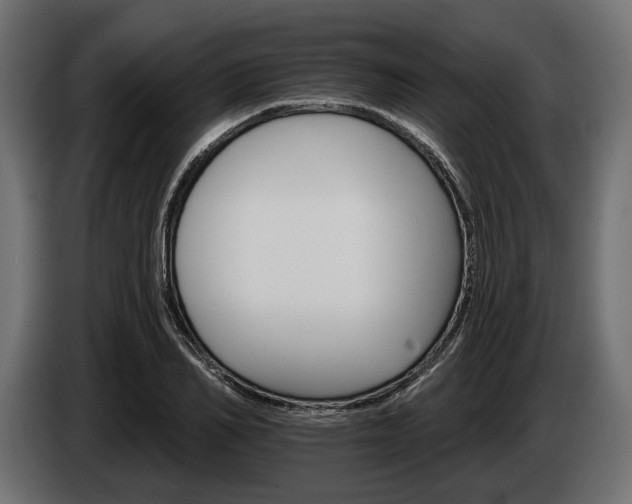 X0000084520982200703021352